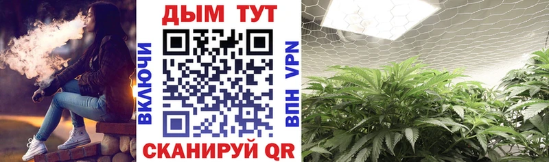 Бошки марихуана Ganja  Грязи 